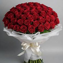 Букет 101 Красная роза Блэк Мэджик в Николиной Балке