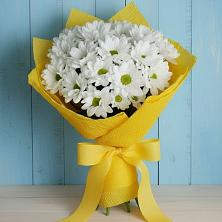 Букет цветов из:  Хризантемы в Николиной Балке