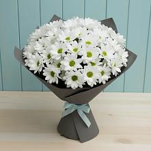 Букет цветов из:  Хризантемы в Николиной Балке