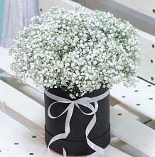 Цветочная композиция из Гипсофила в шляпной коробке #REPLACE_PRED# Николиной Балке