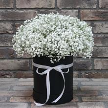 Цветочная композиция из Гипсофила в шляпной коробке в Николиной Балке