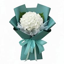 Букет цветов из:  Гортензия в Николиной Балке